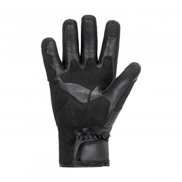 Black Palm Detail